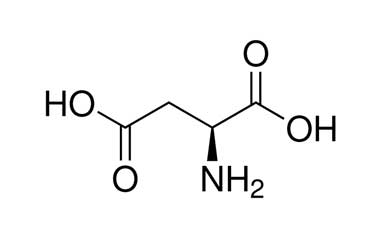 Aspartic Acid